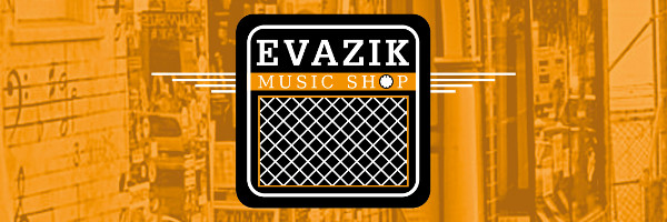Evazik Logo resized